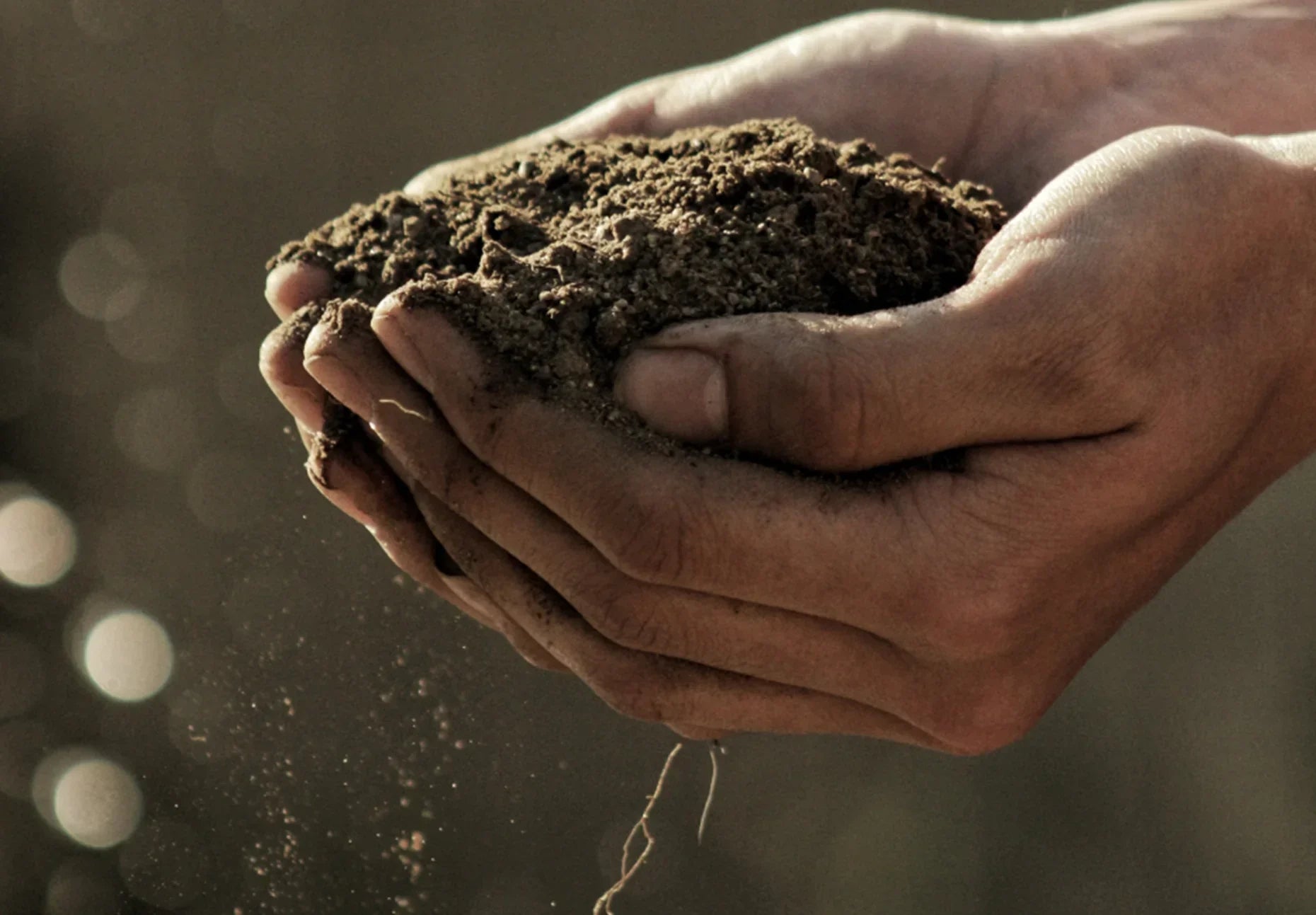 Nurture Your Skin From the Ground Up: The symbiosis between soil and skin