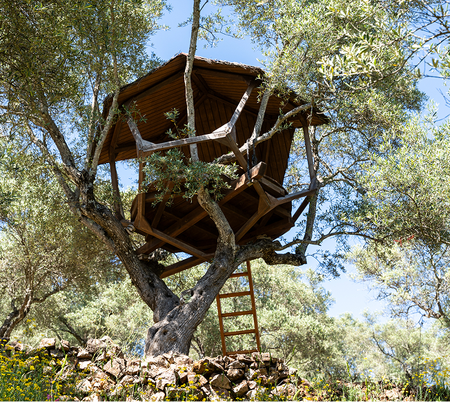 The Olive Tree House. Where Formulas Grew From Roots.