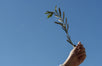 A Very Special Easter Story told by OLIVE TREE PEOPLE Founder, Thomas Lommel