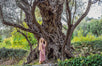 Have you hugged a tree today? Connect with your nature and find your center