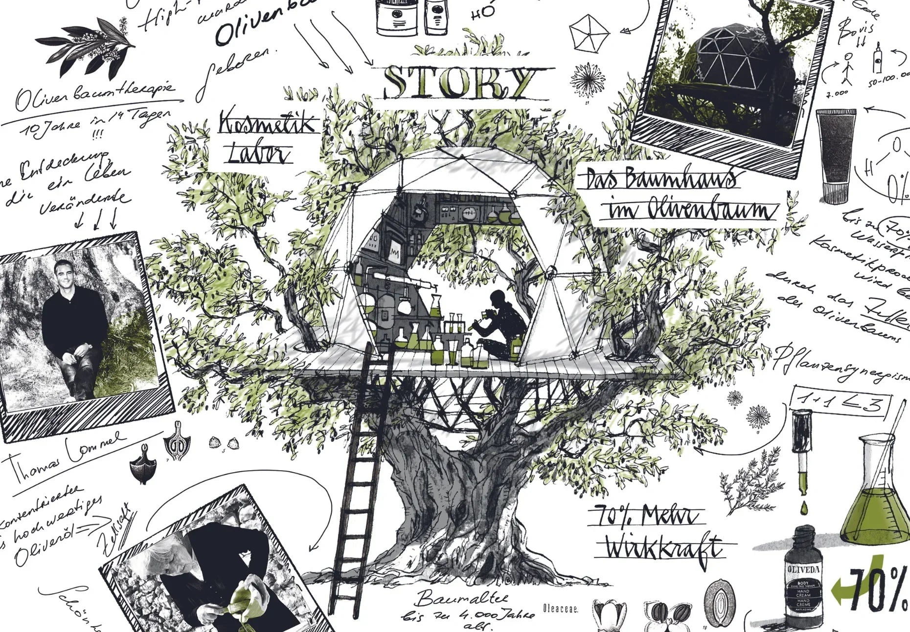 From Tree to Beauty: Tracing the path of OLIVE TREE PEOPLE from grove to glow